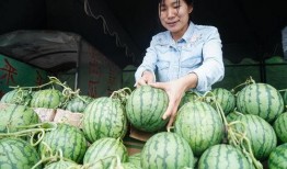 吃瓜南京红姐长相,瓜田里的美丽传奇