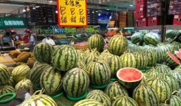 瓜店吃瓜,揭秘娱乐圈的甜蜜与苦涩