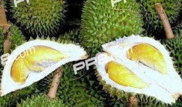 吃榴莲可以吃小瓜吗,探寻异域佳果的搭配新风尚