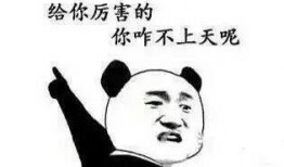 体育吃瓜酱,揭秘赛场背后的趣味故事