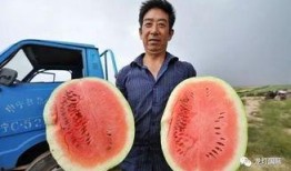 哪里可以看吃瓜事件,从幕后真相到公众热议