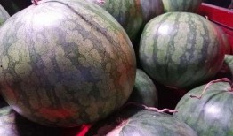 买的瓜都是籽瓜吗怎么吃,解锁夏日美味新选择