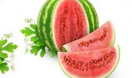 吃瓜花瓣组,网络红人的崛起与影响力