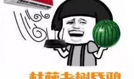 吃瓜群众夏夏,揭秘娱乐圈那些事儿