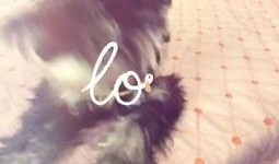 白兔视频吃瓜,揭秘娱乐圈幕后故事