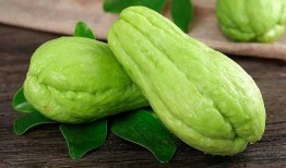 吃瓜914184810,一场网络热议背后的真相