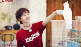 王源吃瓜大笑,揭秘娱乐圈幕后趣闻