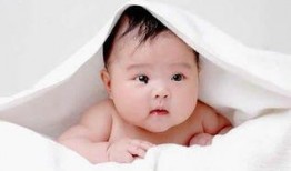 宝宝睡前吃瓜,甜蜜梦乡的甜蜜伴侣