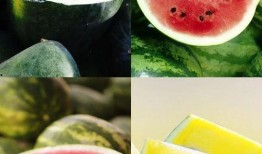 带你吃瓜山东菏泽曹县,带你领略独特的“吃瓜”文化