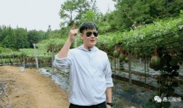 马鑫吃瓜,揭秘娱乐圈幕后故事