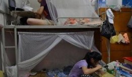 女生宿舍吃瓜日常,揭秘女生宿舍的吃瓜日常