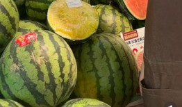 瓜店吃瓜,揭秘娱乐圈的甜蜜与苦涩