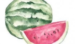 抱着吃瓜的意思,揭秘娱乐圈的幕后故事