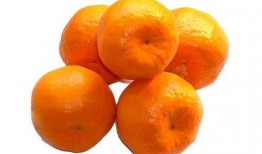 吃过桔子可以吃哈密瓜吗,探索柑橘与哈密瓜的美食之旅