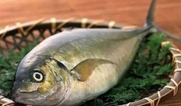 梦见摘瓜捞鱼吃,摘瓜捞鱼，共享丰收喜悦