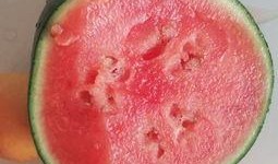 微山吃瓜视频,揭秘当地特色美食与风土人情