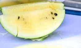 瓜这样吃才有味儿,解锁瓜类美食的独特风味