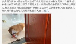 王校长吃瓜源源,揭秘校园风云背后的真相