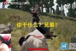 《吃瓜队友》后续剧情,揭秘隐藏身份，复仇之路开启！