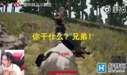 《吃瓜队友》后续剧情,揭秘隐藏身份，复仇之路开启！