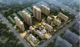 莱芜泰和嘉园吃瓜