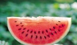 吃瓜就要吃全瓜吗图片