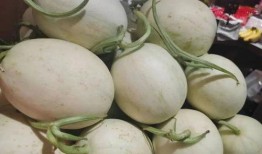 海南吃瓜仙女,海南吃瓜仙女的独特美食之旅