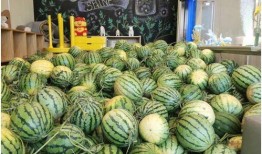 吃瓜中心,吃瓜中心带你领略明星幕后故事