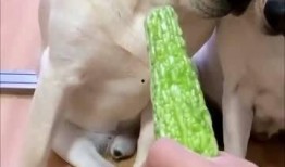 小迷糊吃瓜,揭秘娱乐圈那些不为人知的幕后故事