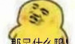 比赛吃瓜表情包图片,吃瓜表情包背后的趣味瞬间