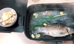 海南吃瓜仙女,海南吃瓜仙女的独特美食之旅