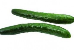 瓜现在吃还不晚,尽享时令美味——现在品尝正当时