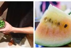 鄙视吃瓜群众图片,揭秘“吃瓜群众”背后的偏见与误解