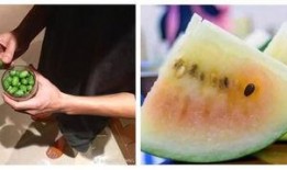 鄙视吃瓜群众图片,揭秘“吃瓜群众”背后的偏见与误解