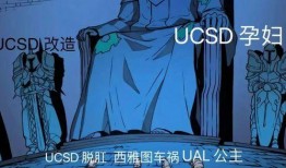 留学圈吃瓜上海,上海，这座国际都市的留学新风向标