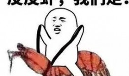 吃瓜套路朋友,如何轻松套路朋友，成为社交圈焦点