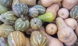 今日宜吃瓜的意思,揭秘娱乐圈最新热点事件