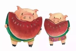 猪吃瓜的梗,笑料横生！