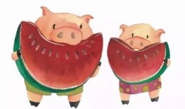 猪吃瓜的梗,笑料横生！