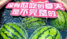 大型吃瓜聚集,揭秘娱乐圈幕后风云