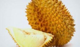 吃榴莲可以吃小瓜吗,探寻异域佳果的搭配新风尚