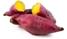 地瓜与面瓜一起吃可以不,地瓜与面瓜同食不产生有害物质