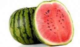 露天甜瓜要套瓜不被虫吃,露天甜瓜套瓜技术解析