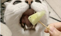 吃瓜侵犯他人隐私,警惕侵犯他人隐私的“瓜”言瓜语